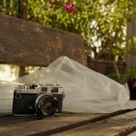 Vintage film camera under diffused natural light