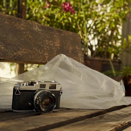Vintage film camera under diffused natural light