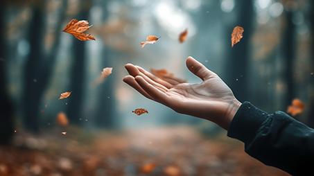 Video impact on social media